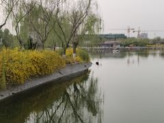 -南翠屏公园
