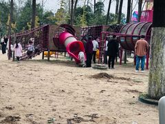 -合肥滨湖国家森林公园