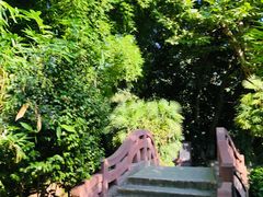 -望江楼公园