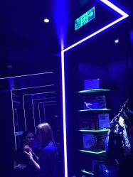-ACS舞蹈工作室
