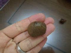 板栗-粒上皇(芷江西路店)