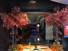 -飞扬影城(正佳IMAX店)