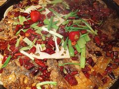 老板恋上鱼-老板恋上鱼(恒隆广场店)