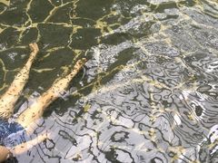 -龙达温泉生态城