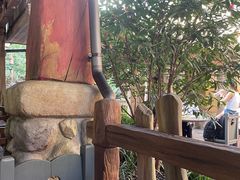 -Tangled Tree Tavern 老藤树食栈