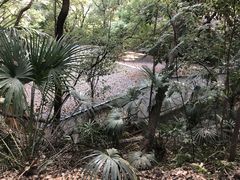 -马王堆汉墓遗址