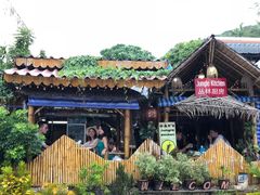 -Jungle Kitchen
