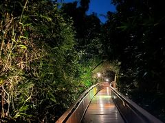 -三亚亚龙湾人间天堂鸟巢度假村
