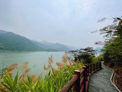 -羚羊峡古栈道森林公园