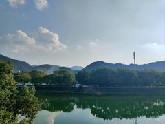 -蒋氏故居