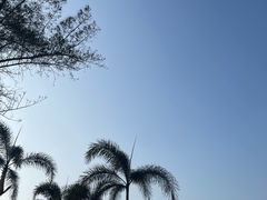 -汕尾风车岛