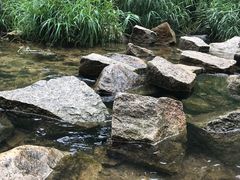 -碓臼峪自然风景区