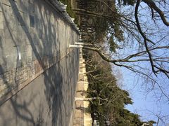iphone_upload_pic-八大关景区