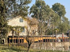 -野蔓果·山野菜(西湖景区·龙井茶田店)