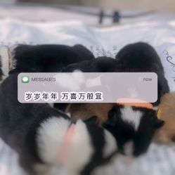 -酷嗒动物文化乐园(cutezoo西溪乐天城店)