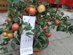 -长春农博园