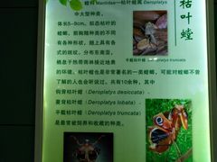 -上海昆虫博物馆