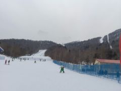 -亚布力新体委滑雪场