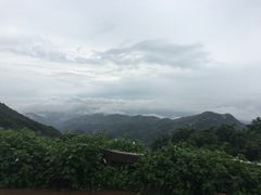 -木兰云雾山
