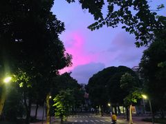 -广西大学(大学东路校区)