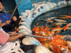 -泉州海丝野生动物世界