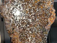 -志强陨石馆(双季花艺店)