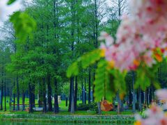 -四海公园(南山区)