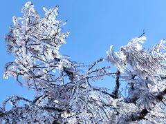 -崂山巨峰游览区