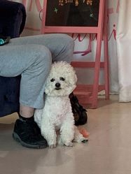 点击看大图 -Pink You美甲美睫纹绣定制中心