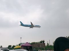 -空港花田景区