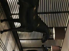 -南京THE TAI太和紫金大酒店