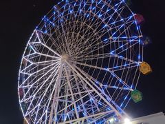 -四川小胡子海鲜(丁村万人海鲜广场店)