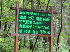 -五营红松林海景区