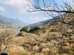 -广州市流溪河国家森林公园