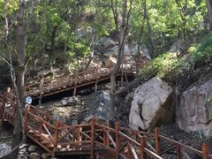 -大岭沟猕猴桃谷风景区
