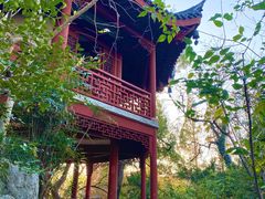 -汇龙潭