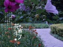 -玲珑塔公园