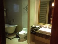 圣爵菲斯大酒店-圣爵菲斯大酒店(长沙世界之窗店)