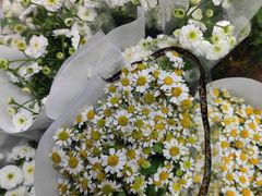 -循礼门鲜花花市(武汉循礼门店)