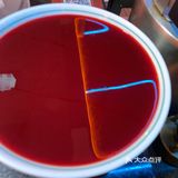 加了茶的火锅味道无敌