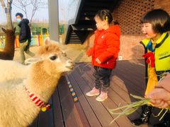 -太阳岛度假酒店