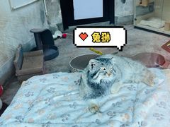 -青藏高原野生动物园