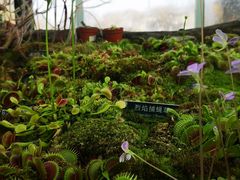 -国家植物园南园