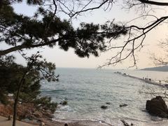 -青岛第二海水浴场