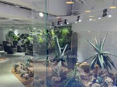 -银座mall(东直门店)