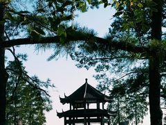 -东湖落雁景区