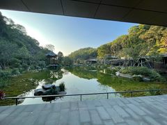 -云溪植物园