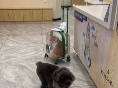 -芭比堂动物医院·24小时·眼科中心(深圳中心)