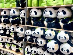 -TheGreenParty(槐房万达店)