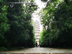 -灵谷景区